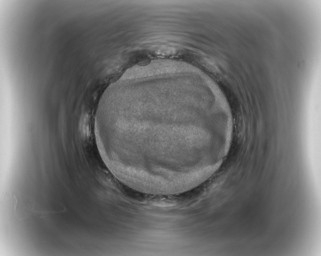 X0000084570962200703161719