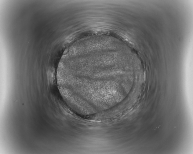 X0000084570963200703161719