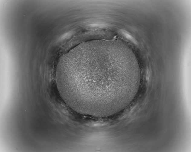 X0000084570965200703161719