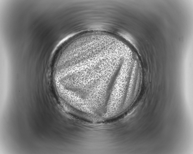 X0000084570971200703161719