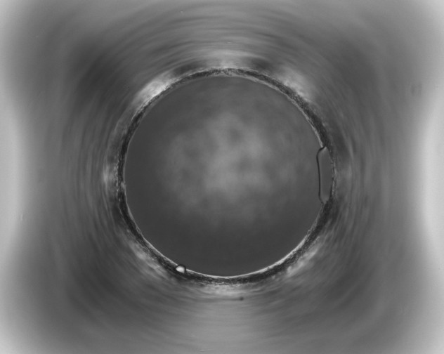X0000084570977200703161719