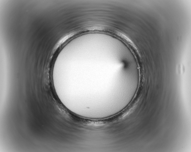 X0000084570978200703161719