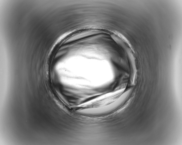 X0000084570981200703161719