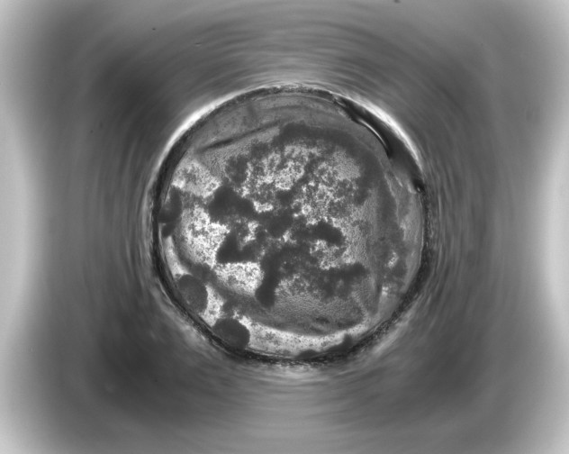 X0000084570983200703161719