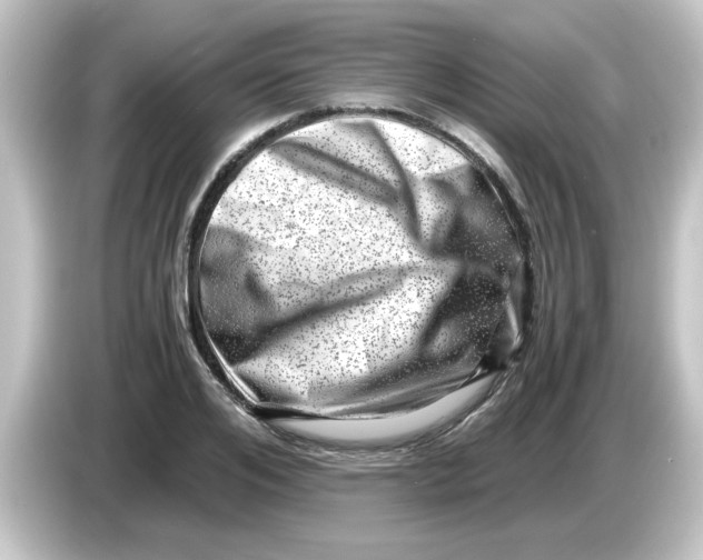 X0000084570984200703161719