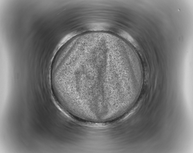 X0000084570986200703161719