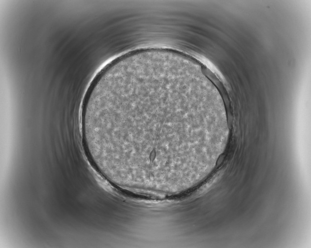 X0000084570988200703161719