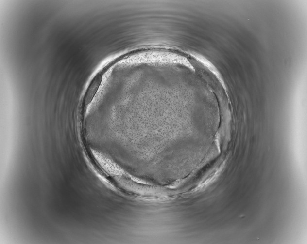 X0000084570989200703161719