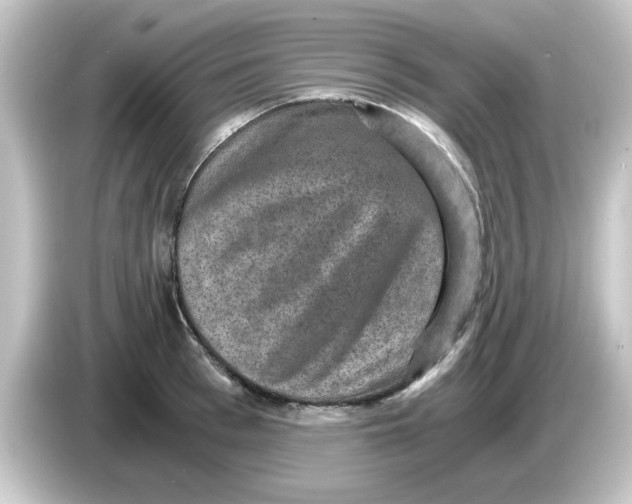 X0000084570993200703161719