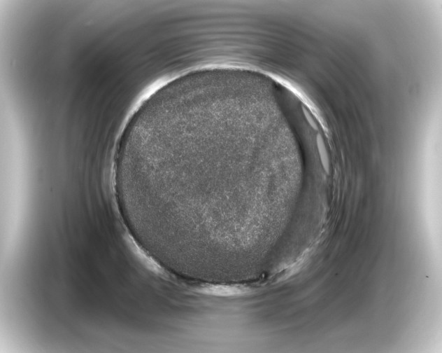 X0000084570998200703161719
