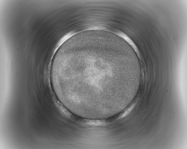 X0000084571002200703161719