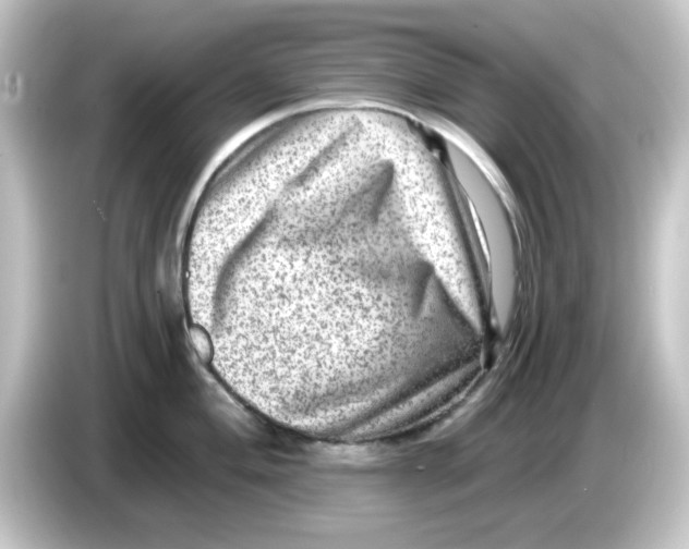X0000084571004200703161719