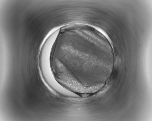 X0000084571005200703161719