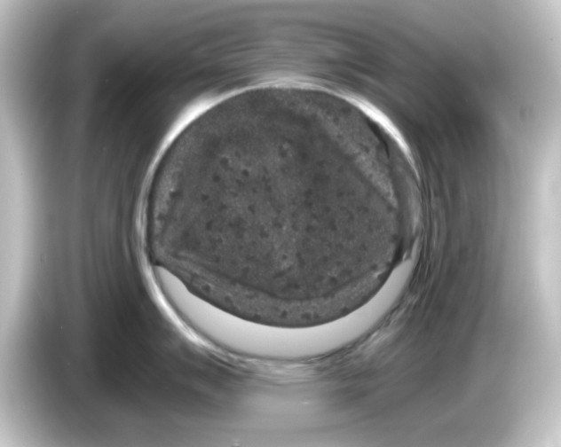 X0000084571007200703161719
