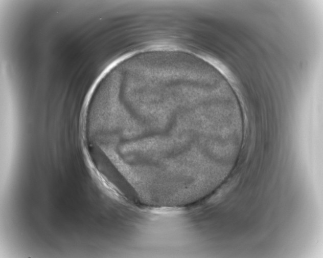 X0000084571008200703161719