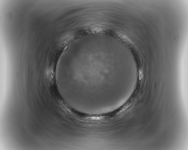 X0000084571011200703161718