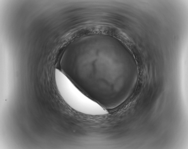 X0000084571013200703161718