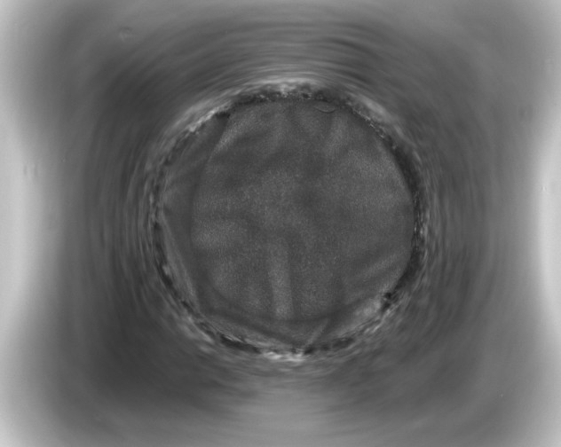 X0000084571014200703161718