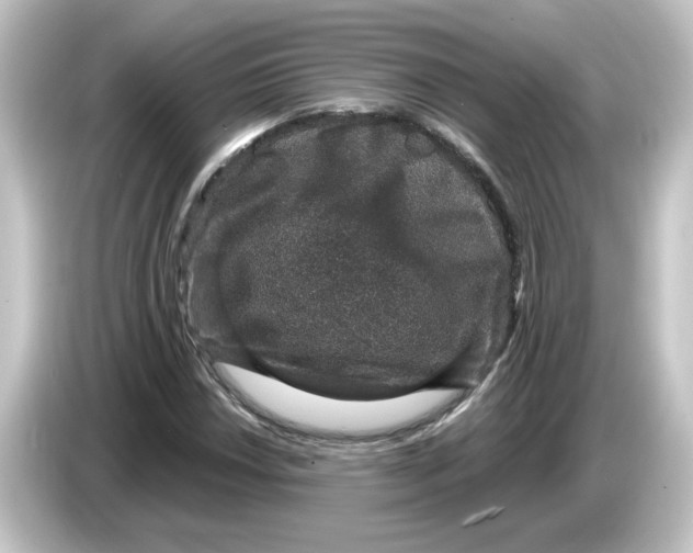 X0000084571018200703161718