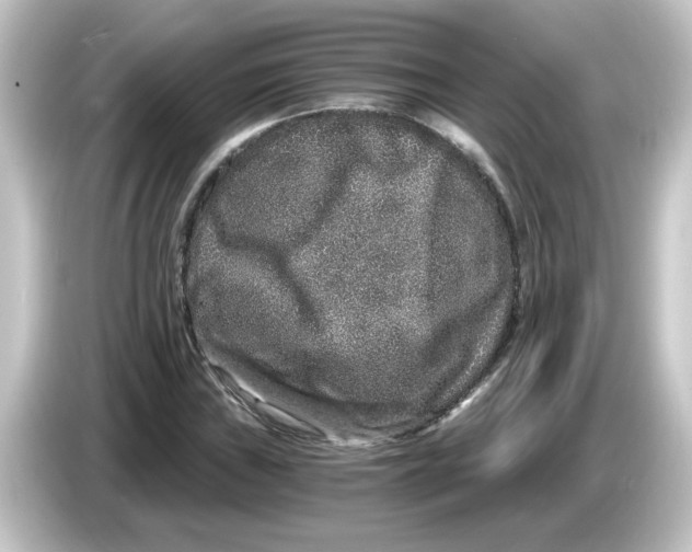 X0000084571019200703161718