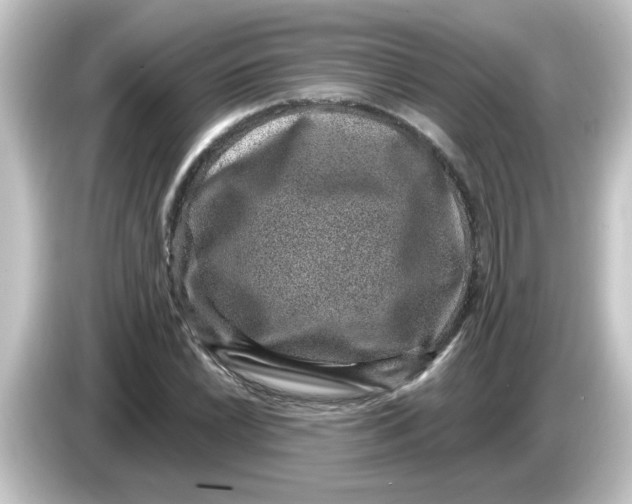 X0000084571022200703161718