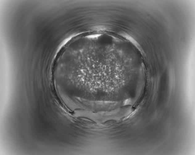 X0000084571023200703161718