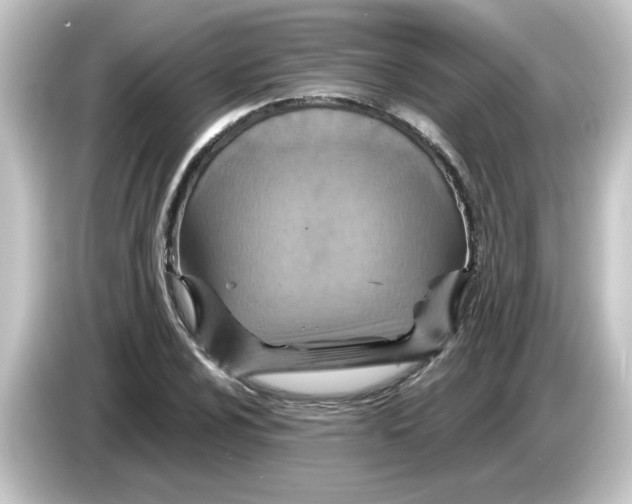 X0000084571024200703161718