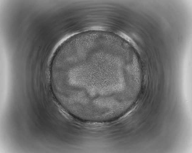 X0000084571027200703161718