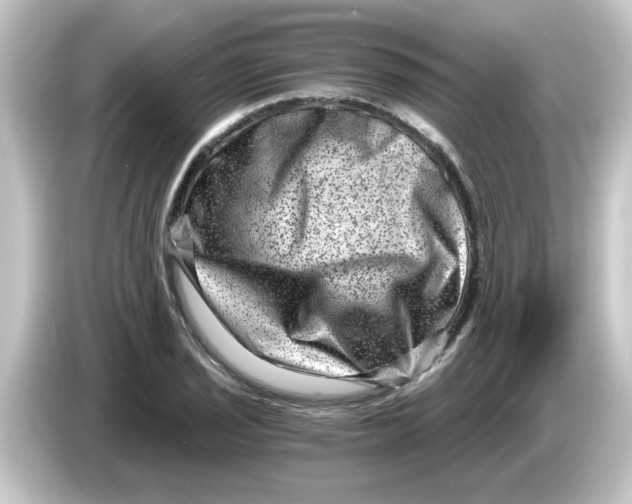 X0000084571029200703161718