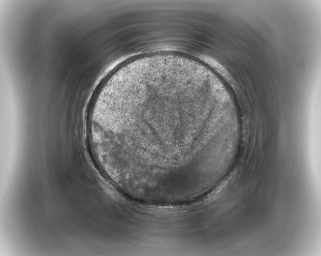 X0000084571031200703161718