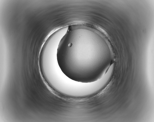 X0000084571034200703161718