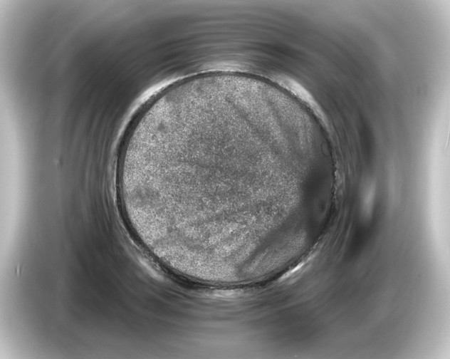 X0000084571035200703161718