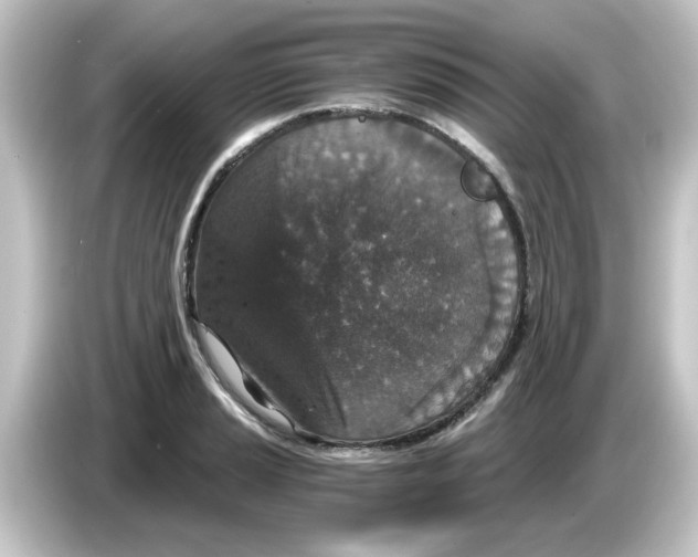X0000084571037200703161718