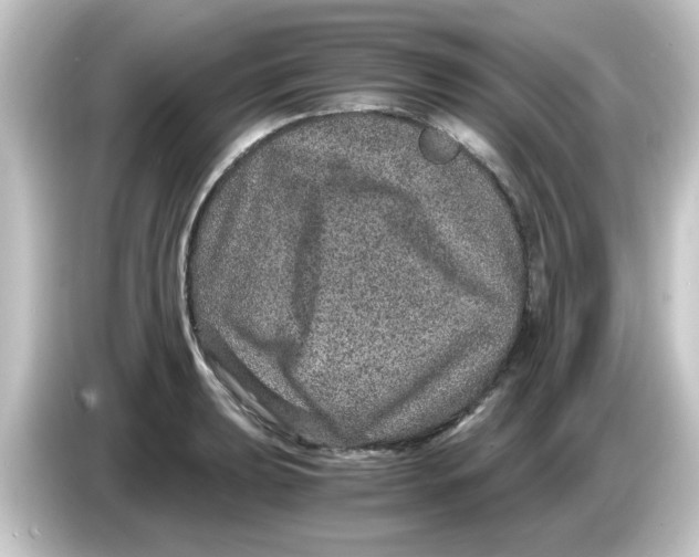 X0000084571039200703161718