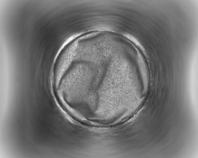 X0000084571040200703161718