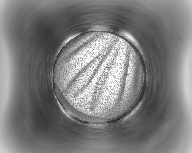 X0000084571041200703161718