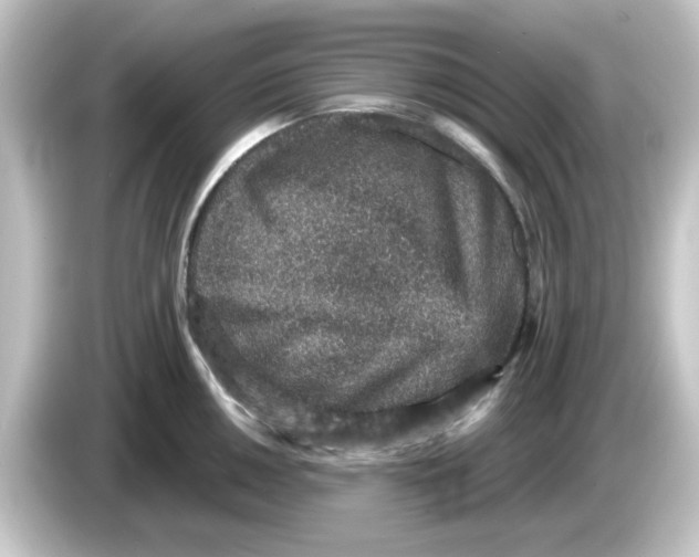 X0000084571050200703161719