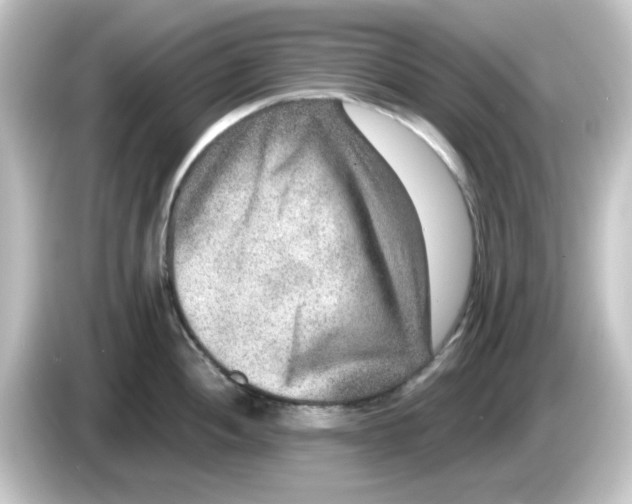 X0000084571052200703161719