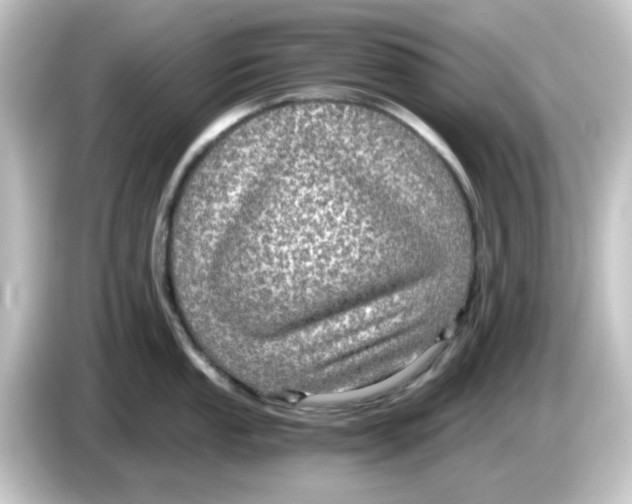 X0000084571053200703161719