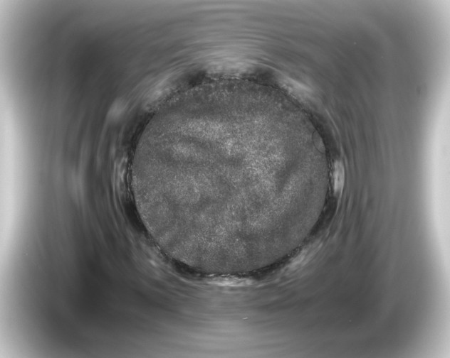 X0000084571059200703161718