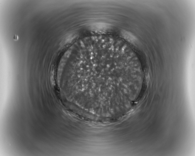 X0000084571060200703161718
