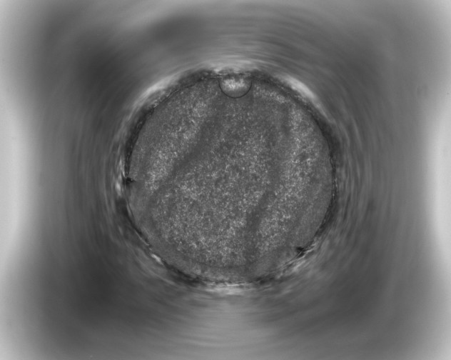 X0000084571063200703161718