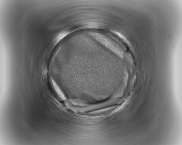 X0000084571065200703161718