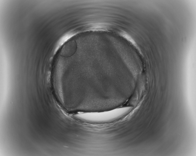 X0000084571066200703161718