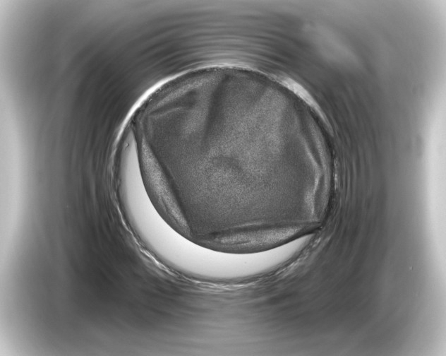 X0000084571068200703161718
