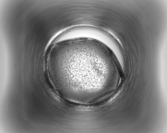 X0000084571069200703161718