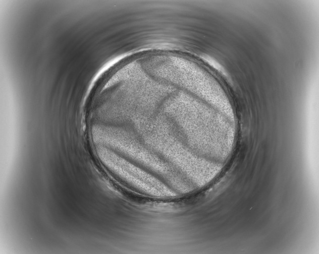 X0000084571070200703161718