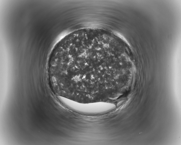 X0000084571071200703161718
