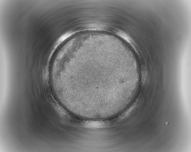 X0000084571074200703161718