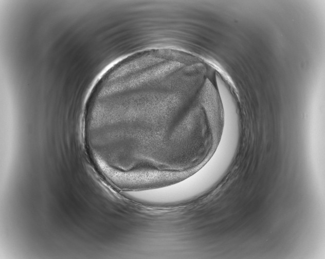 X0000084571076200703161718